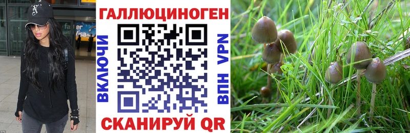 купить наркотик  Льгов  omg ССЫЛКА  Псилоцибиновые грибы Psilocybine cubensis 